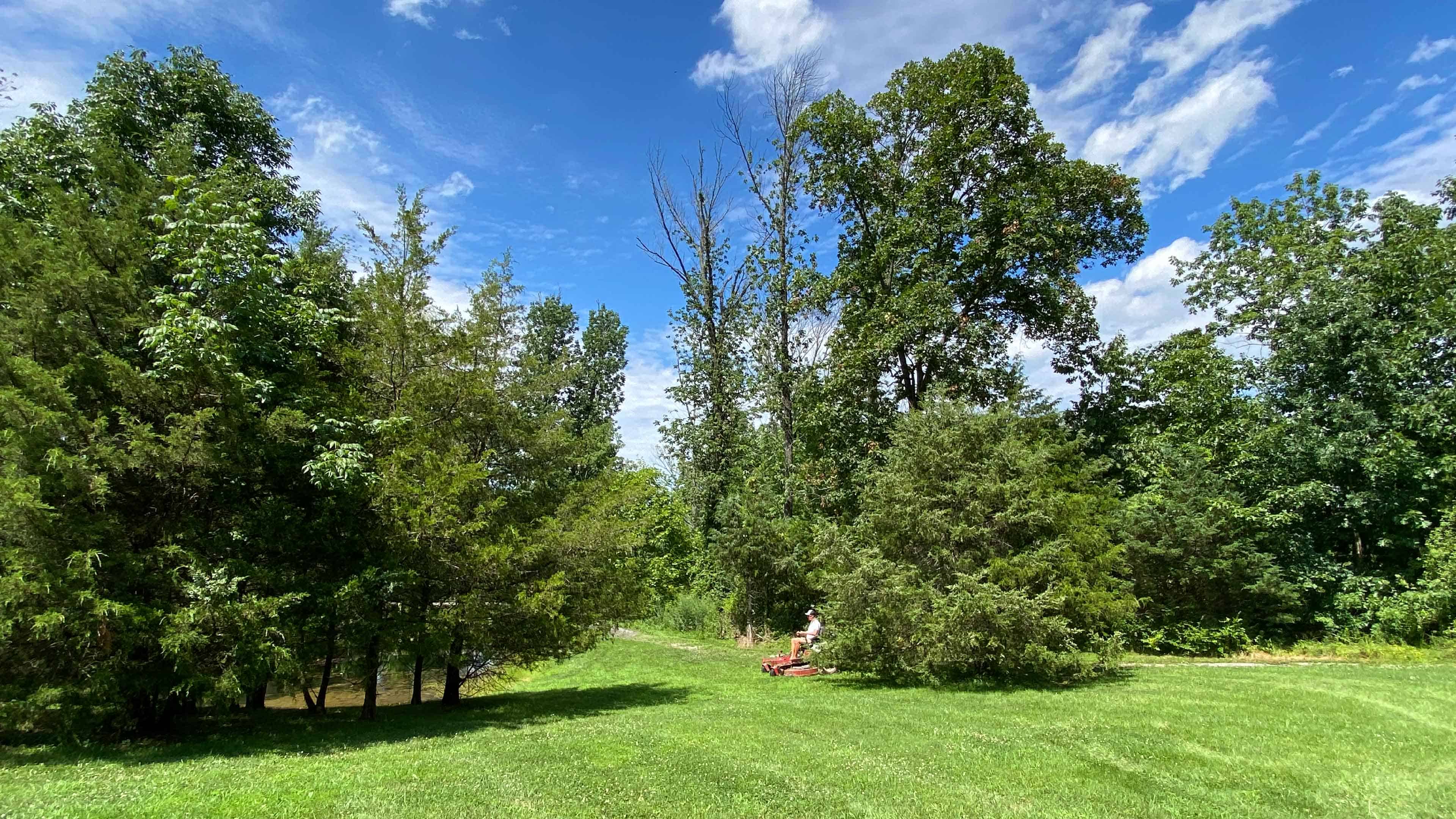 Building a Backyard Bird Habitat for Winter Exmark's Backyard Life